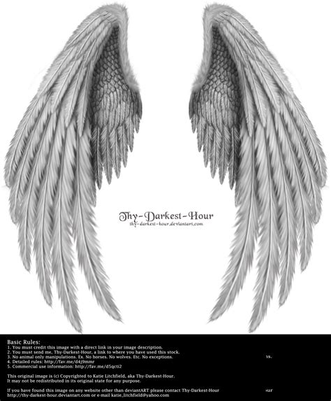 drawing of angel wings|realistic angel wings drawing.